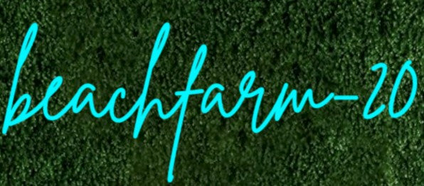 beachfarm-20 custom LED neon sign in cyan script on a green hedge
